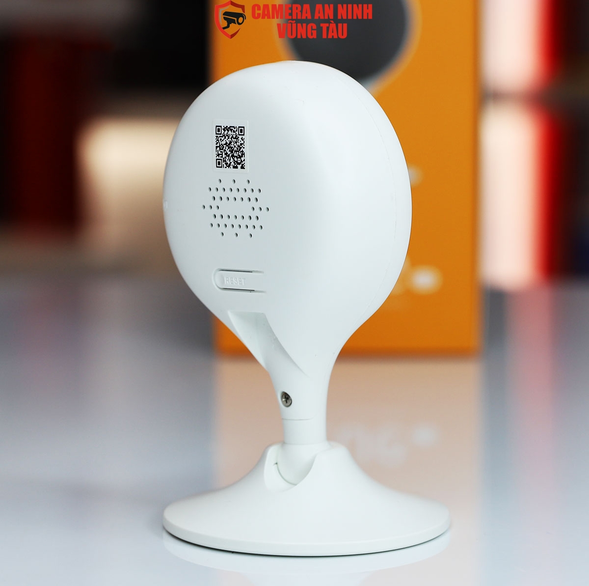 Cameraanninhvungtau (11)