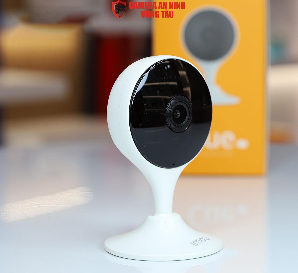 Cameraanninhvungtau (13)